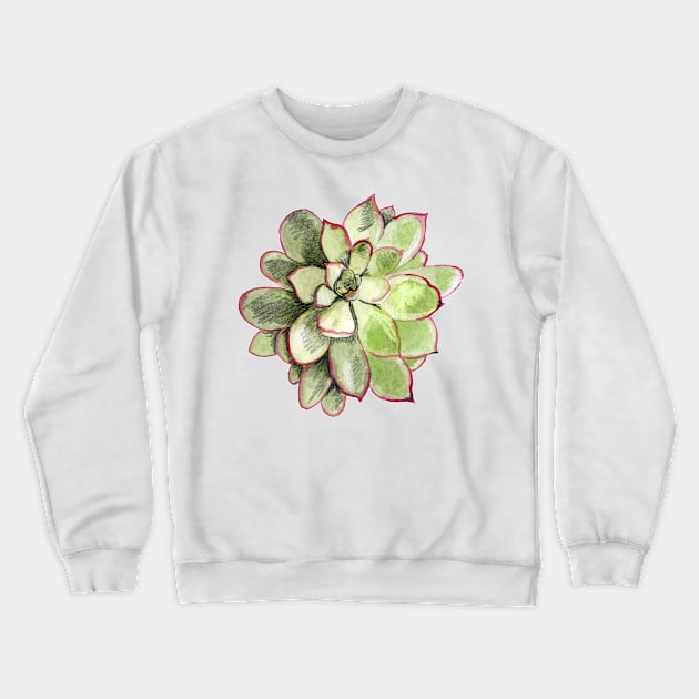 Echeveria Crewneck Sweatshirt by crumpetsandcrabsticks